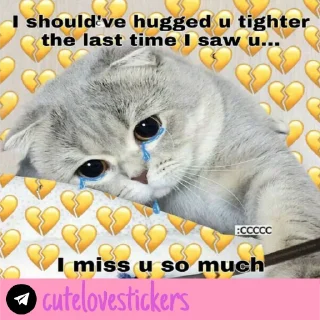 Sticker 🥺 Wholesome Love 💜 @cutelovestickers