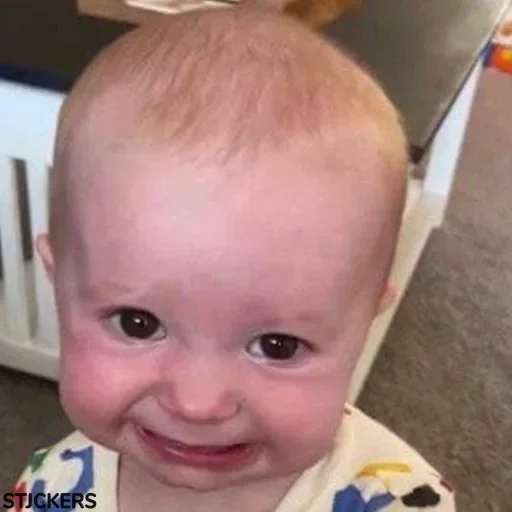 Telegram sticker 😬 Sambhav Jain👑's Video-Pack