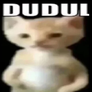 Sticker 😼 Punya kimi!!