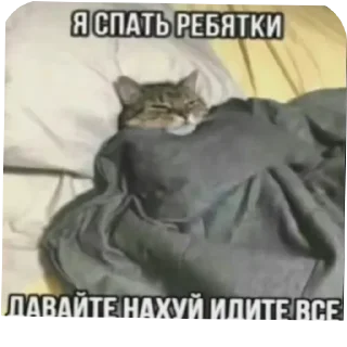 Sticker 🖼 Больше стиков тут: @stikery4