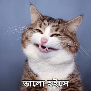 Telegram sticker 😁 Bangla Stickers
