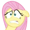 Sticker 😰 Fluttershy | @MyLittlePony_bots