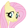 Video sticker 😁 Fluttershy | @MyLi...