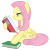 Video sticker 🤨 Fluttershy | @MyLi...