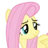 Video sticker 😊 Fluttershy | @MyLi...