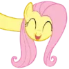 Video sticker ☺️ Fluttershy | @MyLi...