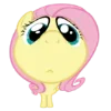 Sticker 😇 Fluttershy | @MyLittlePony_bots