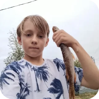 Video sticker 😎 6 Б