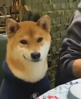 Telegram sticker 🤓 @ExTechie