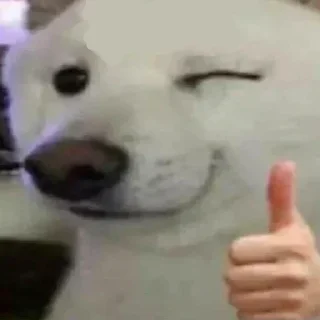 Sticker 😍 @ExTechie