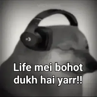 Video sticker 🥲 @ExTechie