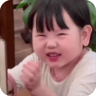 Video sticker 🌟 Md Chúa Tể :: @fStikBot