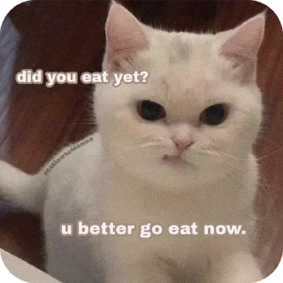 Video sticker 🐱 Hail pookie :: @fStikBot