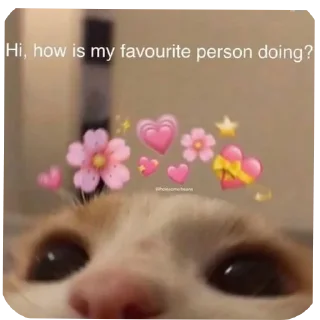 Sticker 🤲 Hail pookie :: @fStikBot