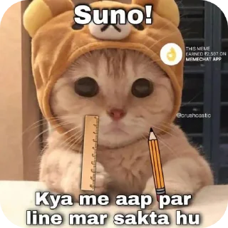 Telegram sticker 🐱 Hail pookie :: @fStikBot