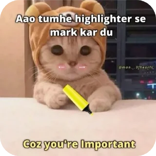 Telegram sticker 🐱 Hail pookie :: @fStikBot