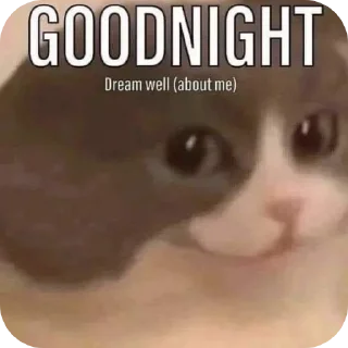 Telegram sticker 🤲 Hail pookie :: @fStikBot