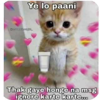 Video sticker 🐱 Hail pookie :: @fStikBot