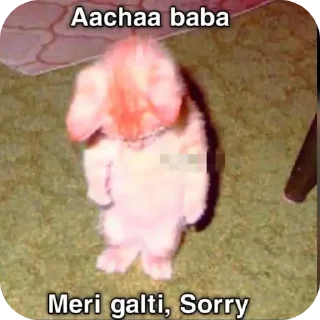 Telegram sticker 🤲 Hail pookie :: @fStikBot