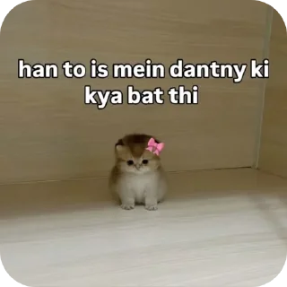 Telegram sticker 🐾 Hail pookie :: @fStikBot