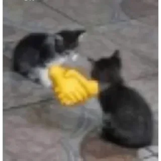 Video sticker 🤝 Tantrum :: @fStikBot