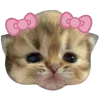 Sticker 🐱 she ➜ @emoji1