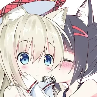 Video sticker ❤️ Nekocat的表情包