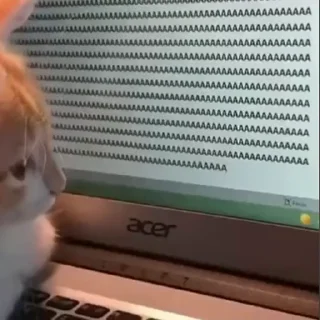 Sticker 🫠 ᴍᴀʀɪɴ ᴋɪᴛᴀɢᴀᴡᴀ 🐈's video pack (@Marin_Roxbot) 5