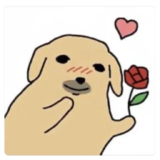 Video sticker 🫥 DAWG