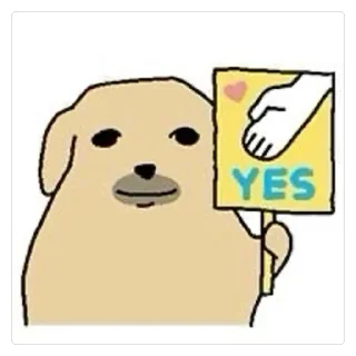 Video sticker 🫥 DAWG