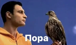 Telegram sticker 🦅 комфортикліз :: @fStikBot
