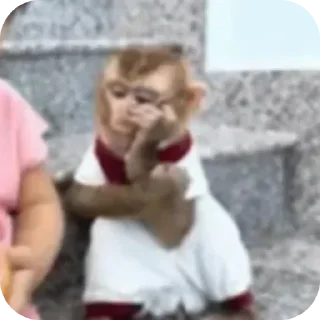 Video sticker 🤲 Vnoco ka parivar :: @fStikBot