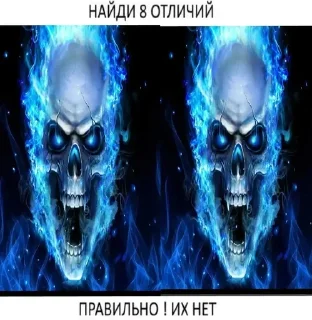 Video sticker 🌟 Гнев @Henri_Clement :: @fStikBot