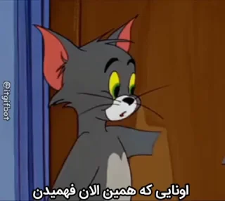 Video sticker 👍 سکس تام و جری