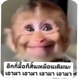 Video sticker 🤲 MONKEY CRAZY