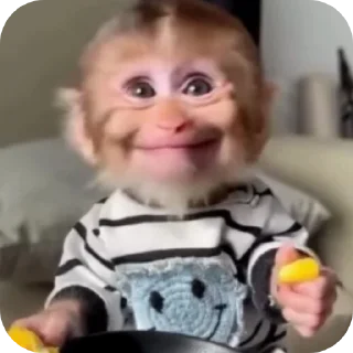 Sticker 👤 MONKEY CRAZY