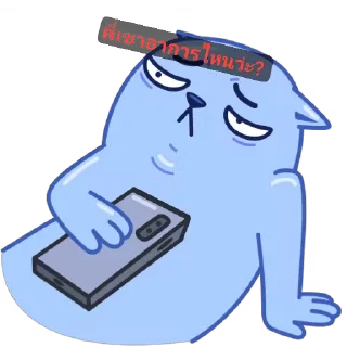 Video sticker 🐱 จัง จัง
