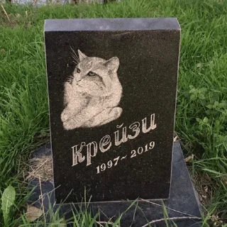 Telegram sticker 🤡 Graveyard by dasha ebalotnaya