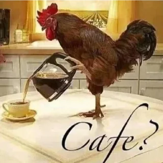 Telegram sticker 🐓 Больше стикеров 👉🏻 @stickertg4