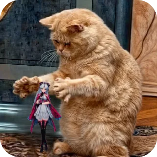 Telegram sticker 🐱 Memes