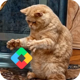 Telegram sticker 🐱 Memes