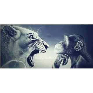 Video sticker 🫥 KUNT