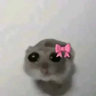 Sticker 🥺 سـمـر١٤٢٤