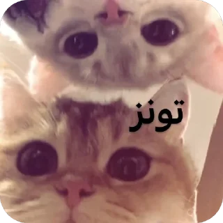 Telegram sticker 💋 سـمـر١٤٢٤