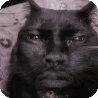 Video sticker 🫥 конченые стикеры :: @fStikBot