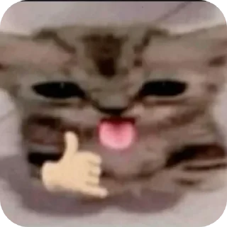 Sticker 🤙 schoosh #tetriss kang pack