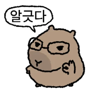 Video sticker ⭐ 마 책피바라 @moe_sticker_bot