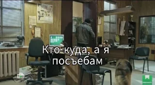 Video sticker 🌟 (сериал пес) :: @fStikBot