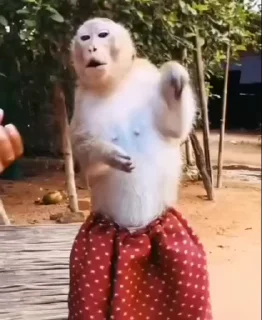 Video sticker 😎 Republic Barbie 4(အောက်တန်းစားမ)