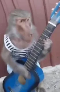 Video sticker 😎 Republic Barbie 4(အောက်တန်းစားမ)